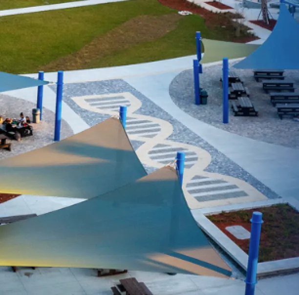 Engraved DNA pavers underfoot across the Pine View campus courtyard